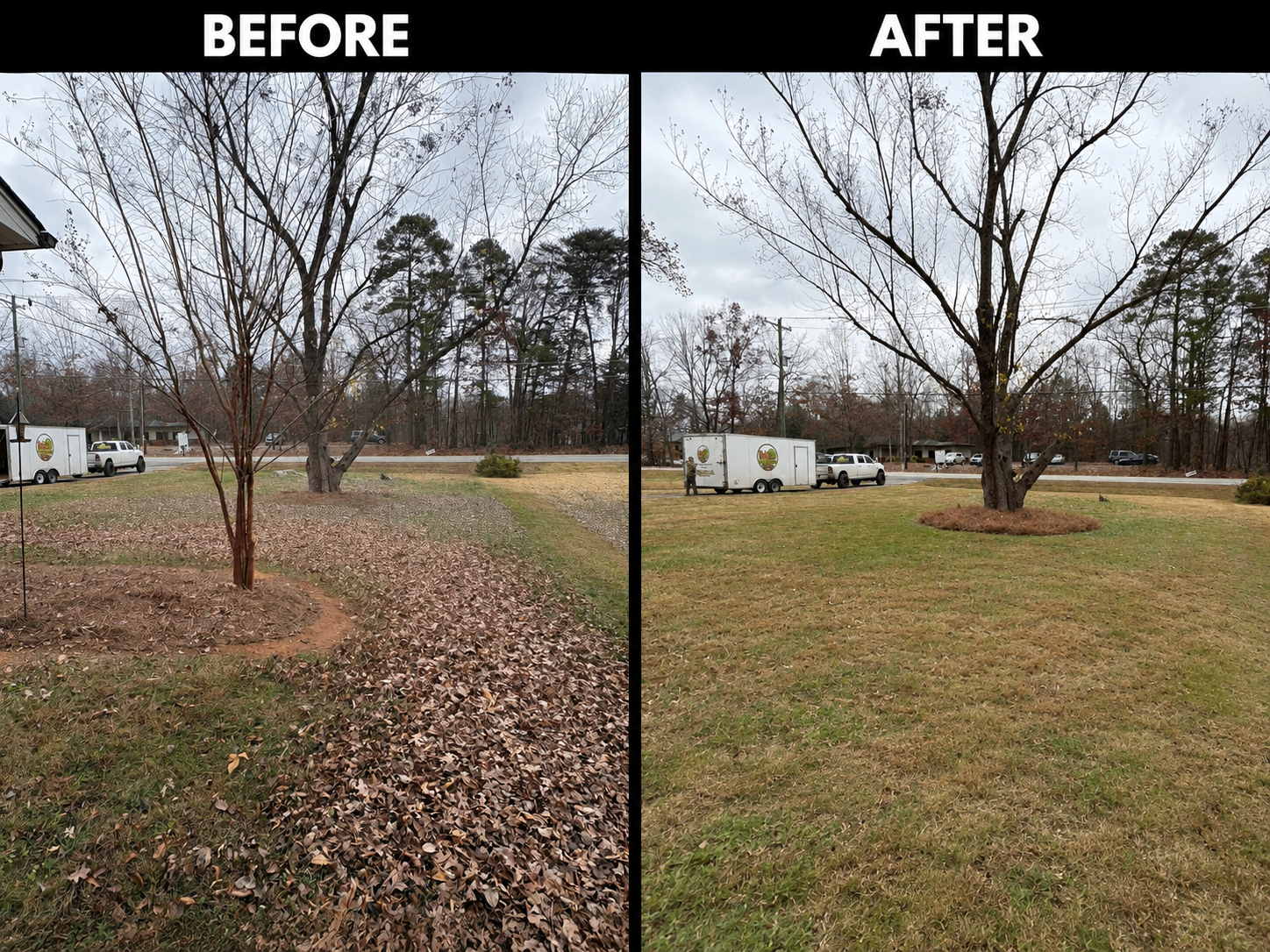 Leaf removal before and after