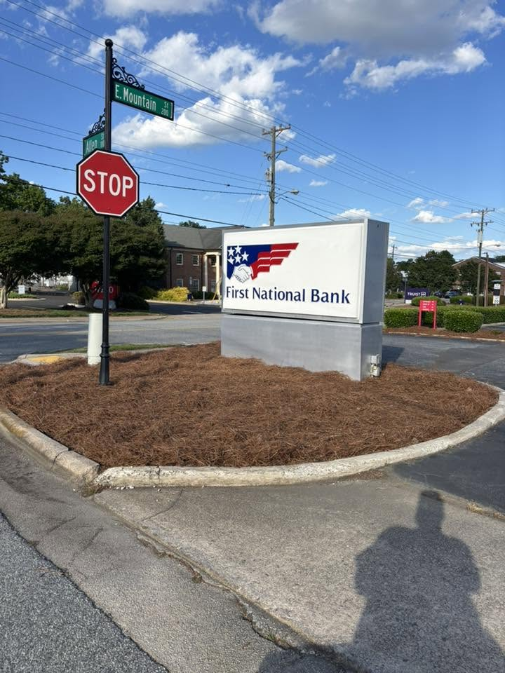 Pine needle bed around First National Bank sign