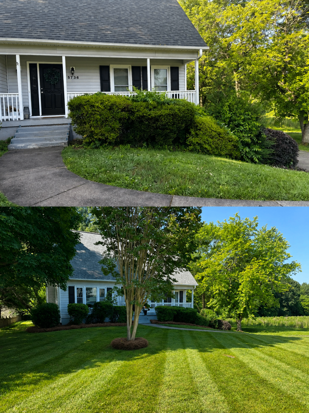 Front yard refresh — before and after