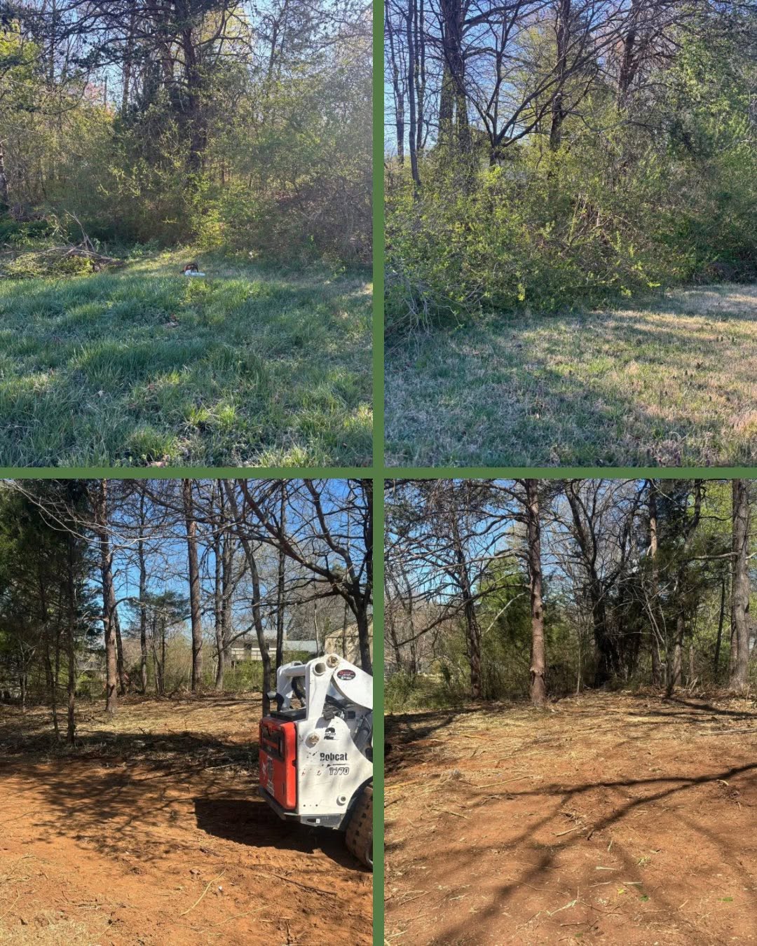 Bush-hog clearing project